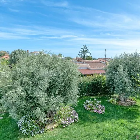 Apartamento La Casa Degli Ulivi In Con Patio